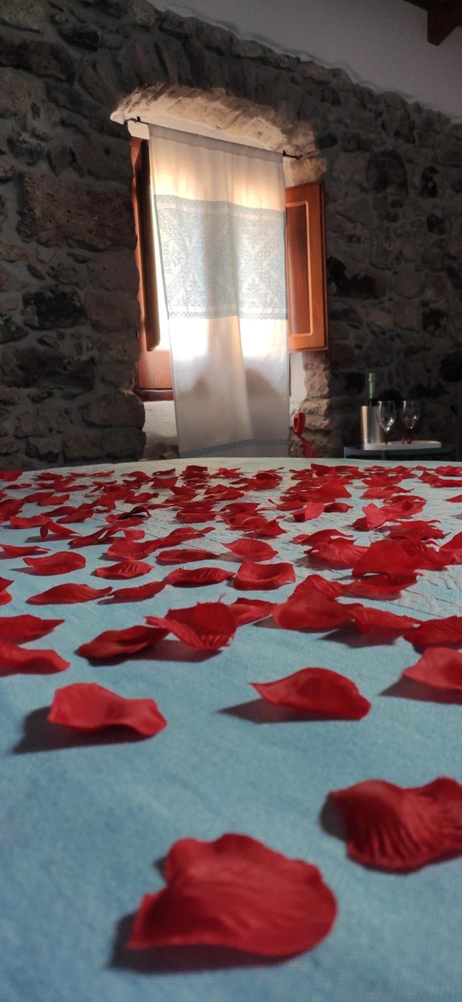 Regnos Altos Boutique Rooms Боса Номер фото